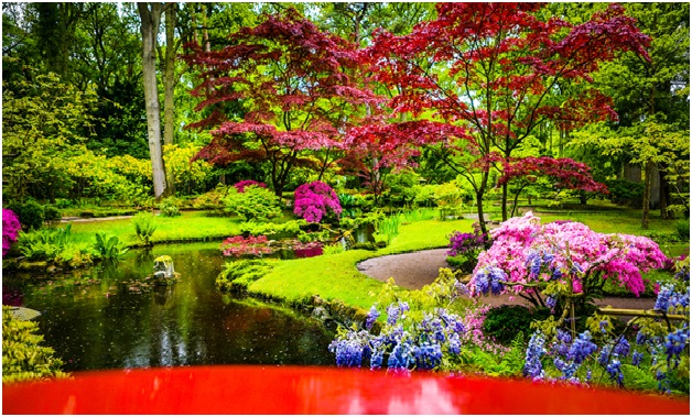Implement Traditional Japanese Garden, Four Elements Landscaping